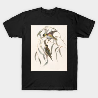 British birds T-Shirt